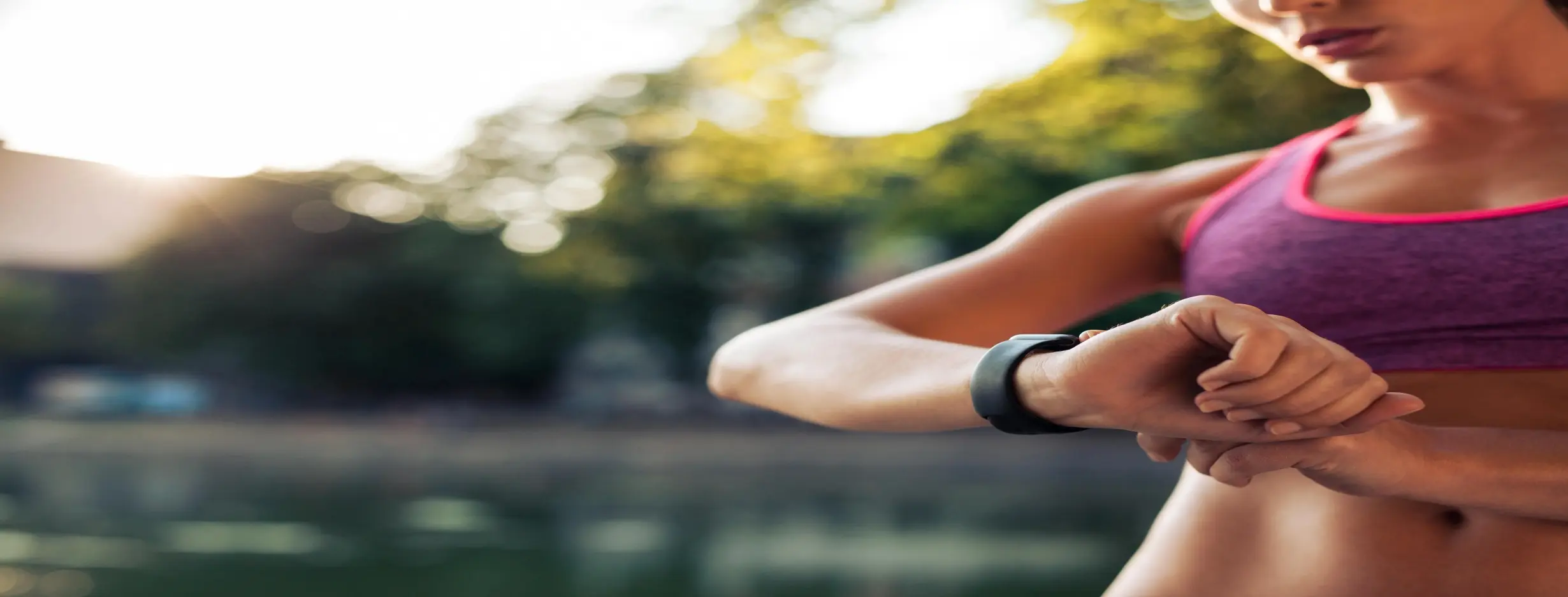 Image for Sports and Fitness Hub